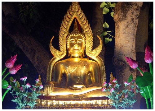 Golden Garden Buddha at Night card