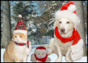 Christmas Postage