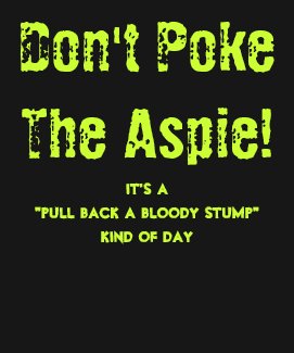 Don't Poke The Aspie! shirt