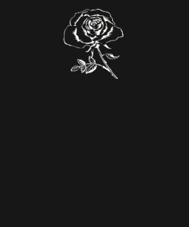 Rose Dark Apparel shirt