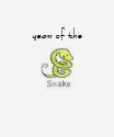 Chinese Zodiac Snake T-shirt