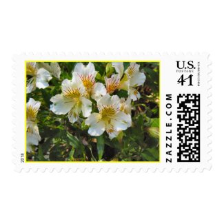 alstroemeria pretty flowers stamp