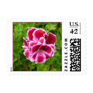 pink and white flower stamp