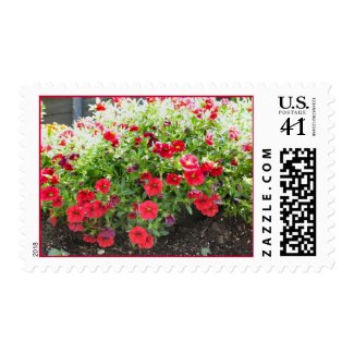 red flowers in the sun stamp
