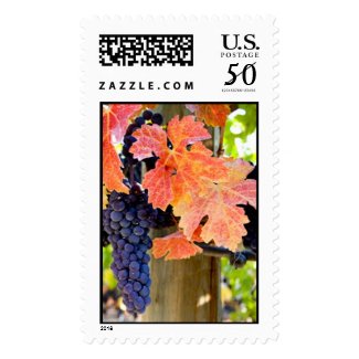 Zinfandel stamp