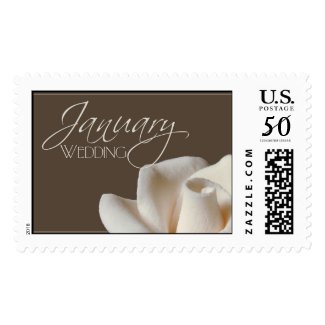 January Wedding Rose Postage stamp