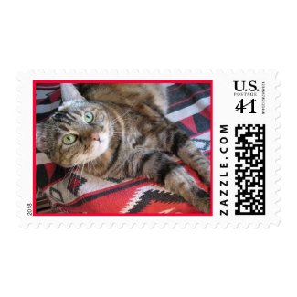cinnamon the cat on red stamp