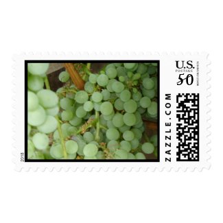 Grapes on the Vine Postage Stamp stamp