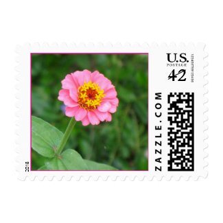 pink flower stamp