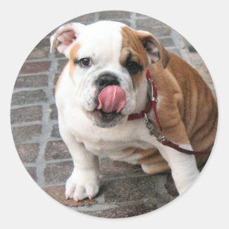 Doggy Kisses sticker