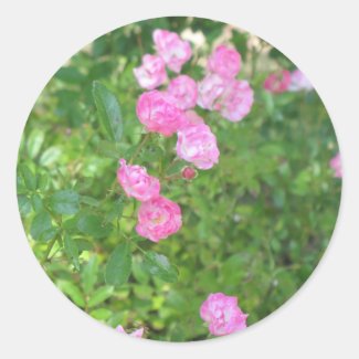 pink flowers sticker