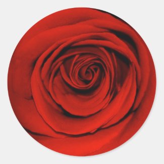 Close up of red rose sticker