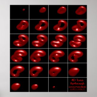 4d torus fly-through cross-section print