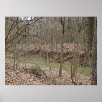 Bogue Chitto Creek print