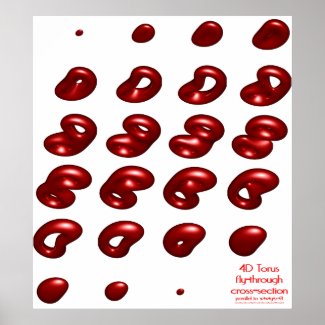 4d torus fly-through cross-section print