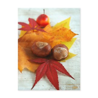 Fall Feelings postcard