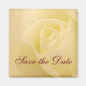 Classic white bridal rose save the date magnet