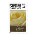 Cream White Bridal Rose stamp