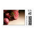 Pink Roses stamp
