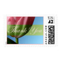 Thank You Pink Tulip Wedding Postage Stamp stamp