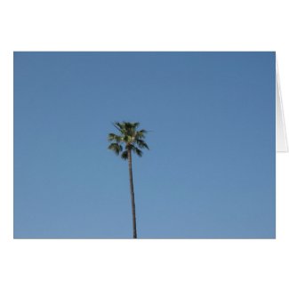 one palmtree card