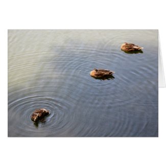 ducks in a pond card