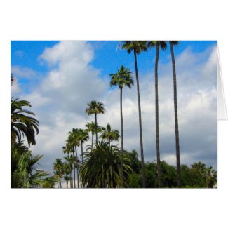 Palm Trees &  Clouds Greeting Card