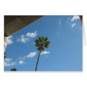 Palm Tree & Sky card