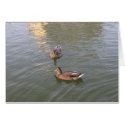 ducks card