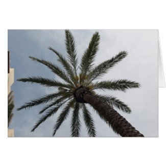 Palm Tree card