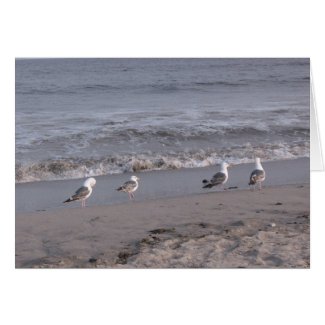 beach birds card