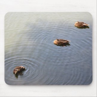 ducks in a pond mousepad