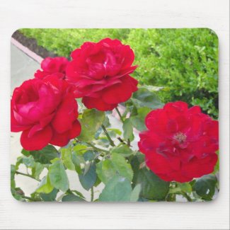 Red Roses mousepad