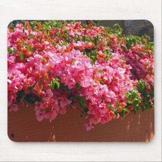 Pink Flowers in the Sun - mousepad