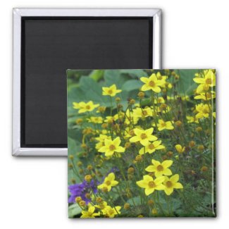 yellow flowers magnet
