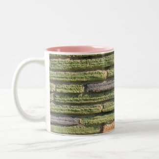 city wall mug