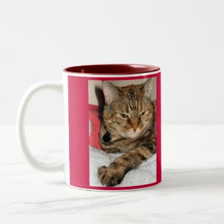 Cinnamon the Cat mug