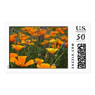 Field of Poppies postage