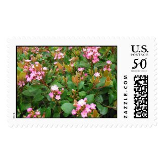 Pink flowers, Green leaves Postage Stamp