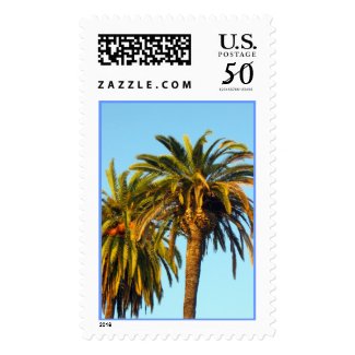 Palm Trees postage