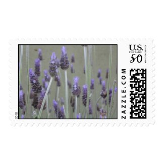 Lavender stamp