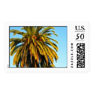 A California Palm Tree Postage Stamp