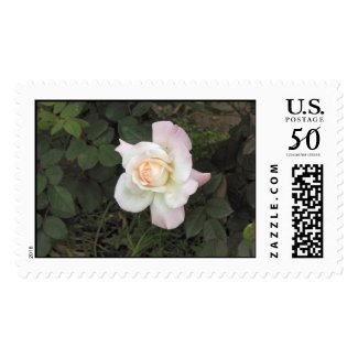 A Rose in the Garden postage