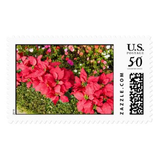Poinsettia Garden postage