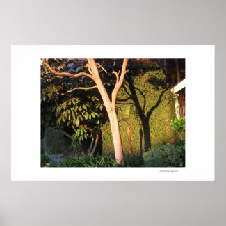 Shadow & Tree print
