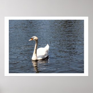 swan print