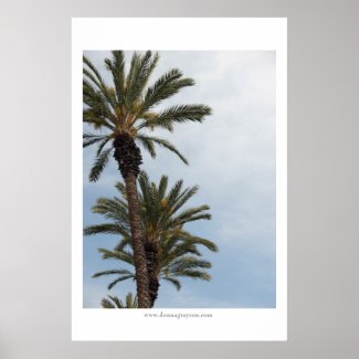California Palm Trees print