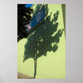 tree shadow poster