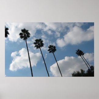 Clouds and Palm Trees print