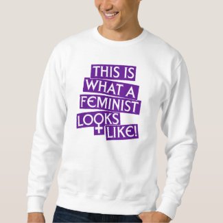 This Is What A Feminist Looks Like! t-shirt